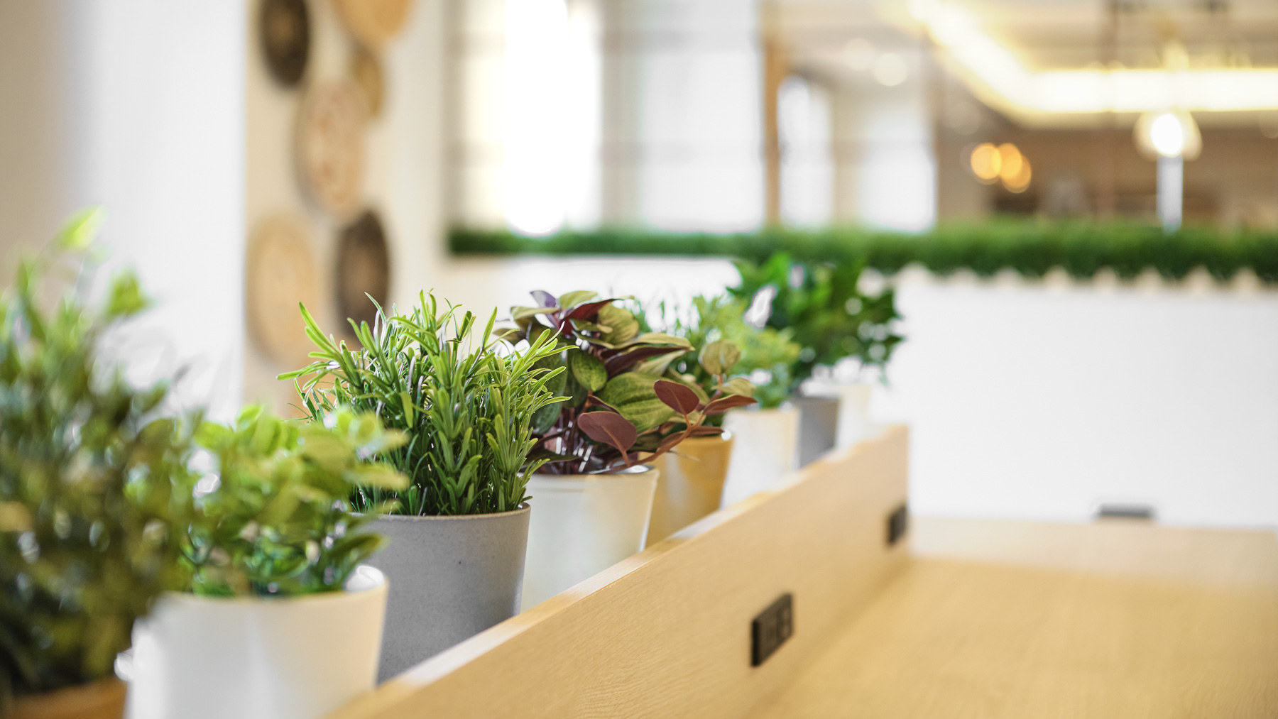 グリーンに囲まれて癒しのひと時を♪