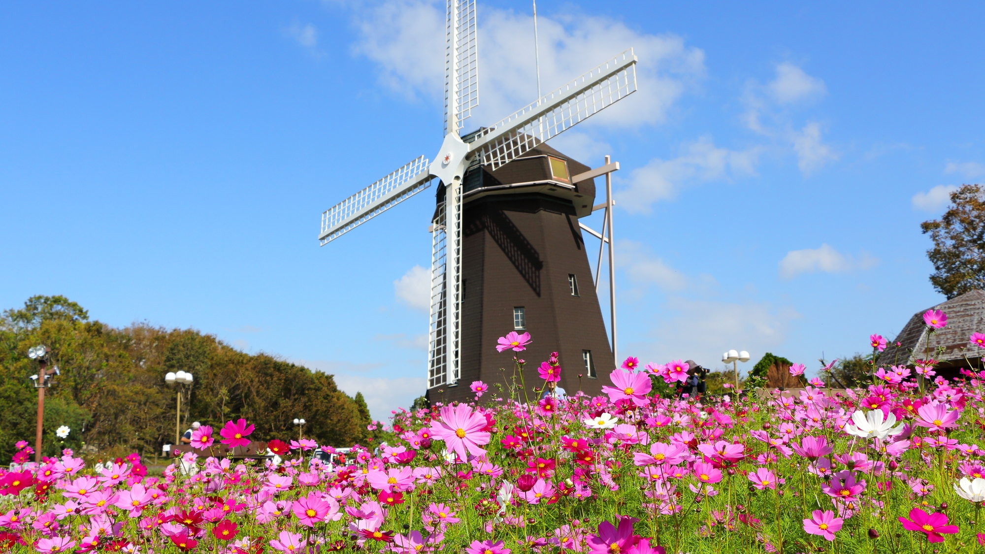 【当館から電車で40分】広大な敷地に咲く四季の花々が魅力「花博記念公園鶴見緑地」