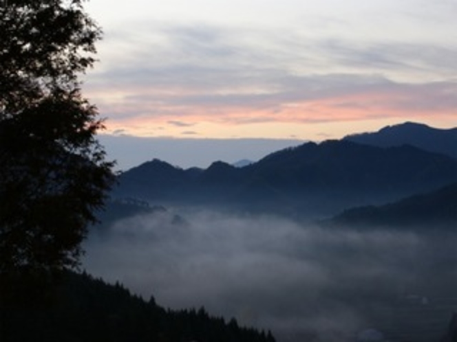 朝靄の景色