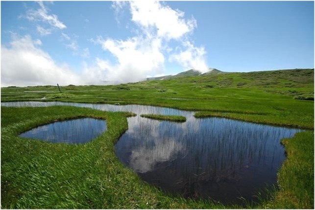 弥陀ヶ原湿原