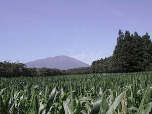 小岩井農場から見た夏の岩手山