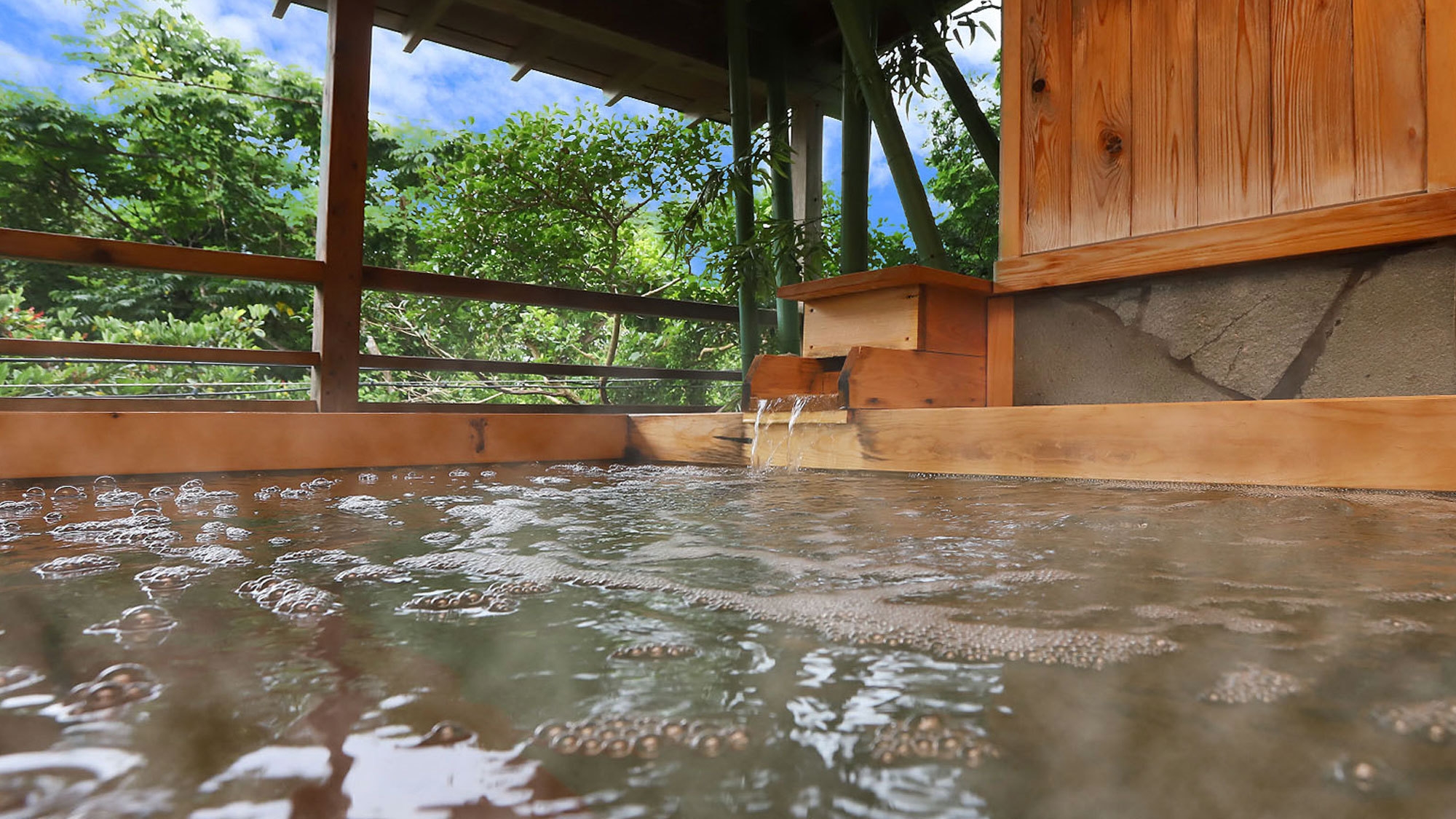 【5％OFF】【楽天スーパーSALE】潮騒プラン＊伊勢えび・鮑付き 