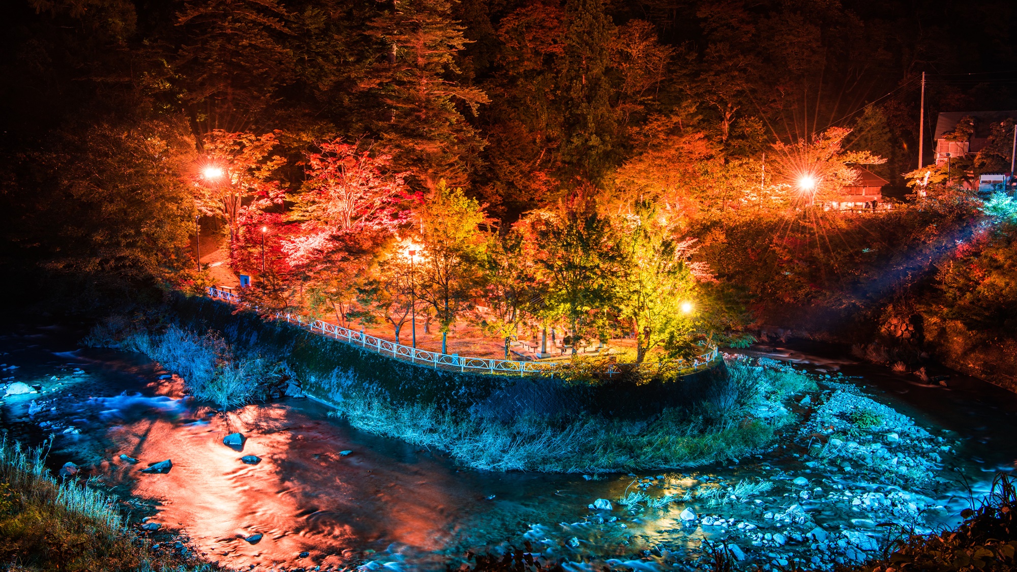 **中野もみじ山(紅葉)