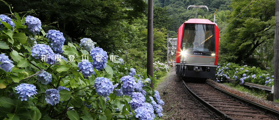 私達は【小田急箱根グループ】の一員です