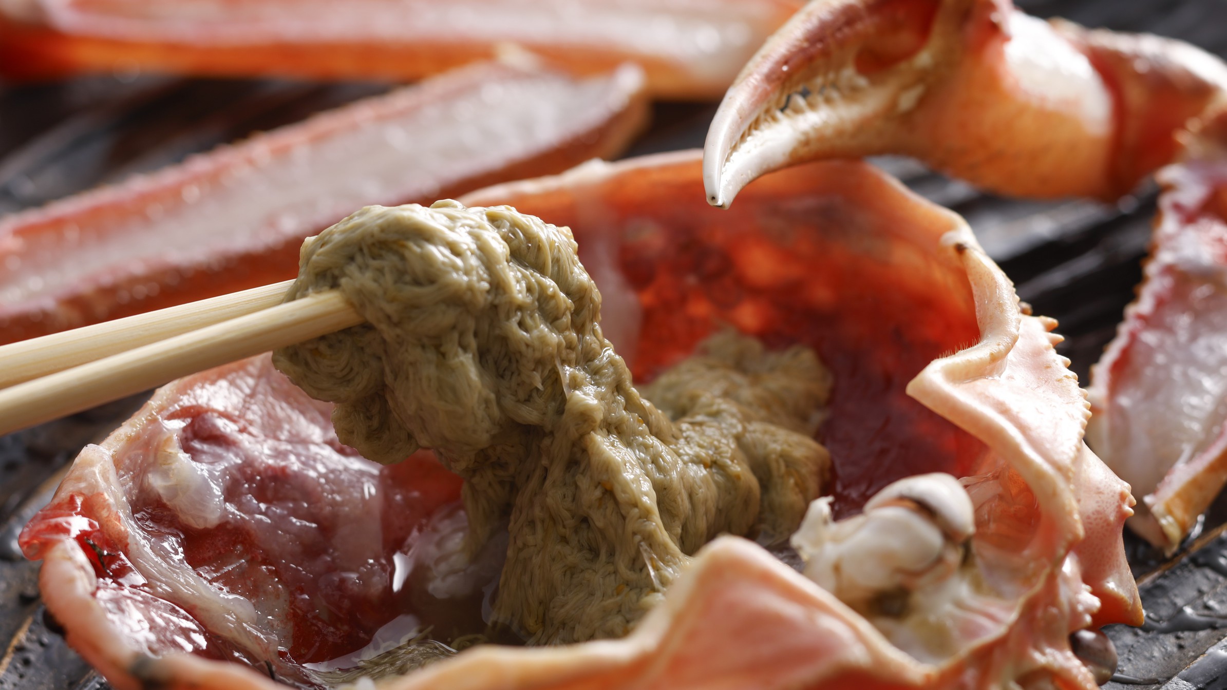 【冬・活ガニ】約700g級「松葉ガニ」◆タグ付きブランドガニで冬の味覚を堪能！