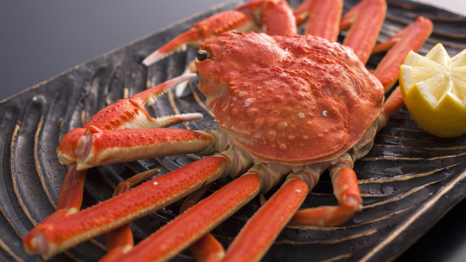 【冬〜春・スタンダード】当館人気No.1◆特大4Lサイズのズワイガニ使用！1人約2杯のカニフルコース