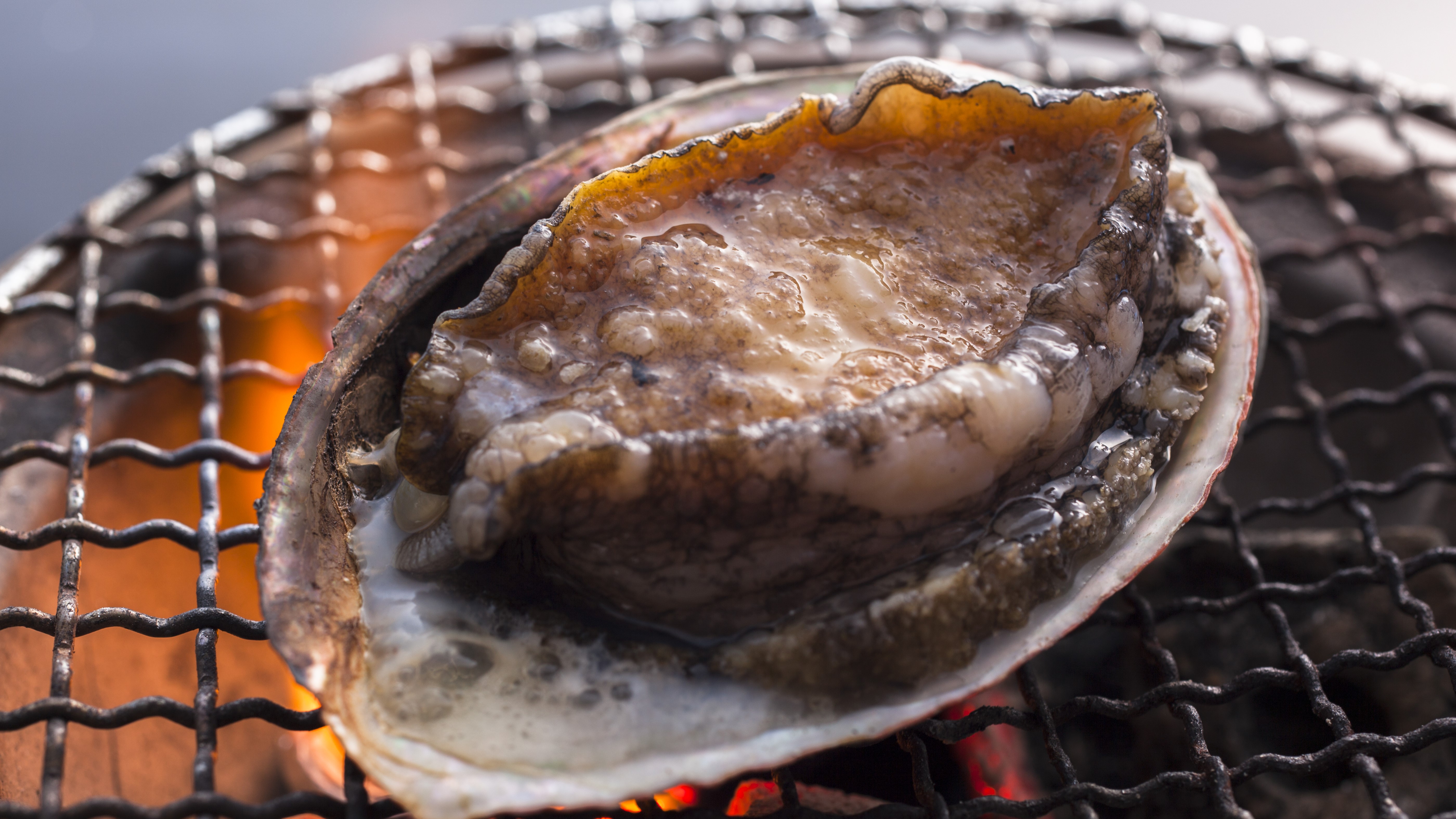 【通年・お料理】磯の香りを楽しむアワビの陶板焼き（一例）