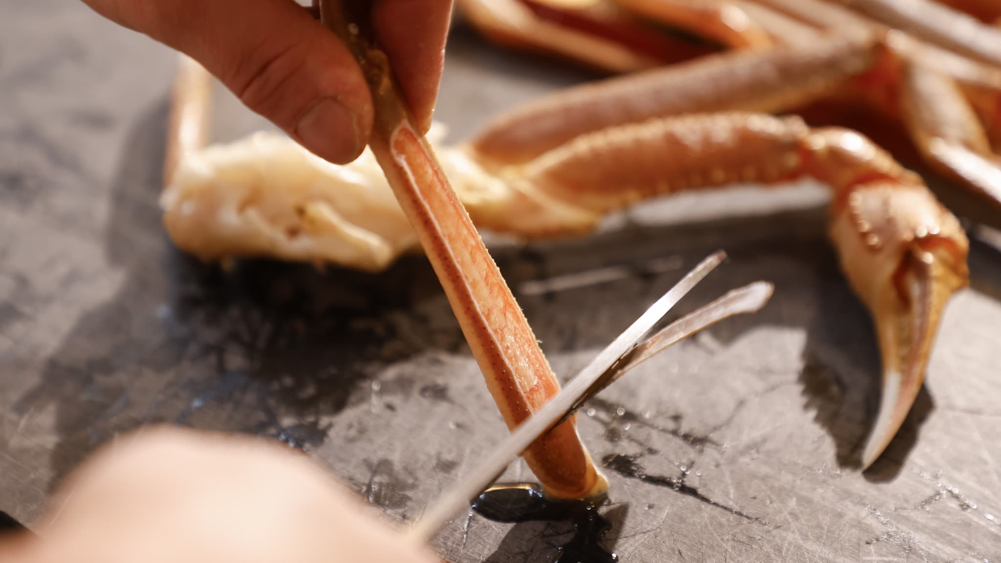 【春】お料理一例