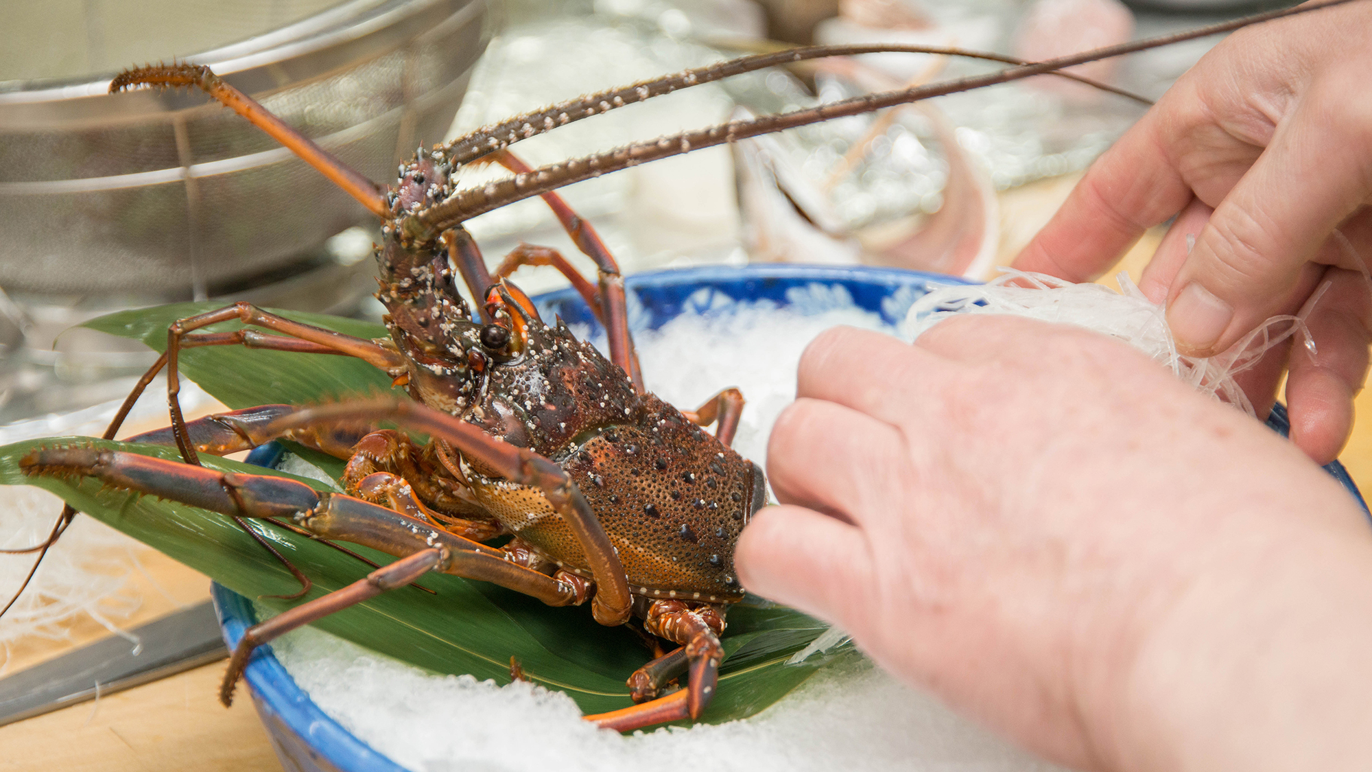 *【伊勢海老】ここでしか味わえない美味極まる料理の数々をお愉しみください。