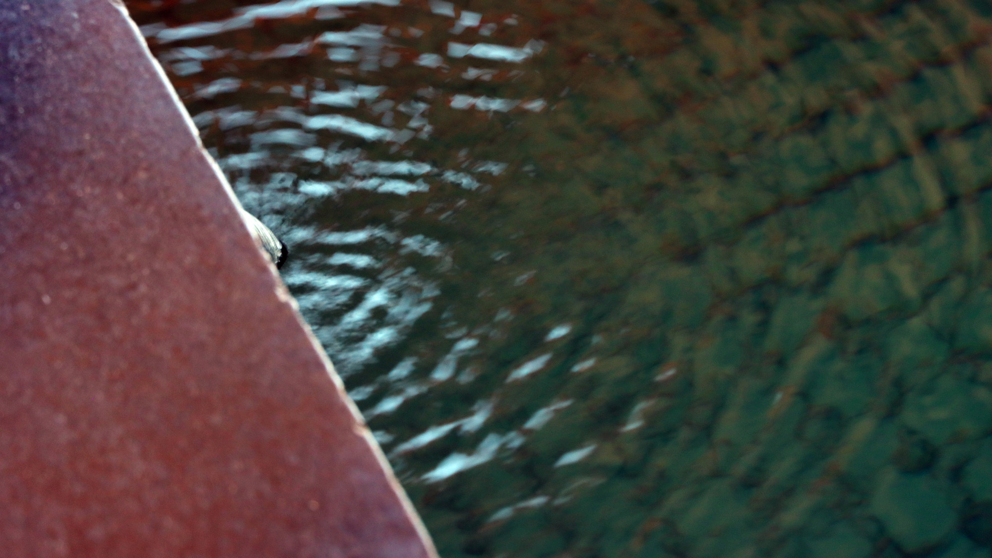 【フラ女将】朝は懐かしい喫茶店風のモーニングセットで元気いっぱい！３大特典付＜朝食付＞