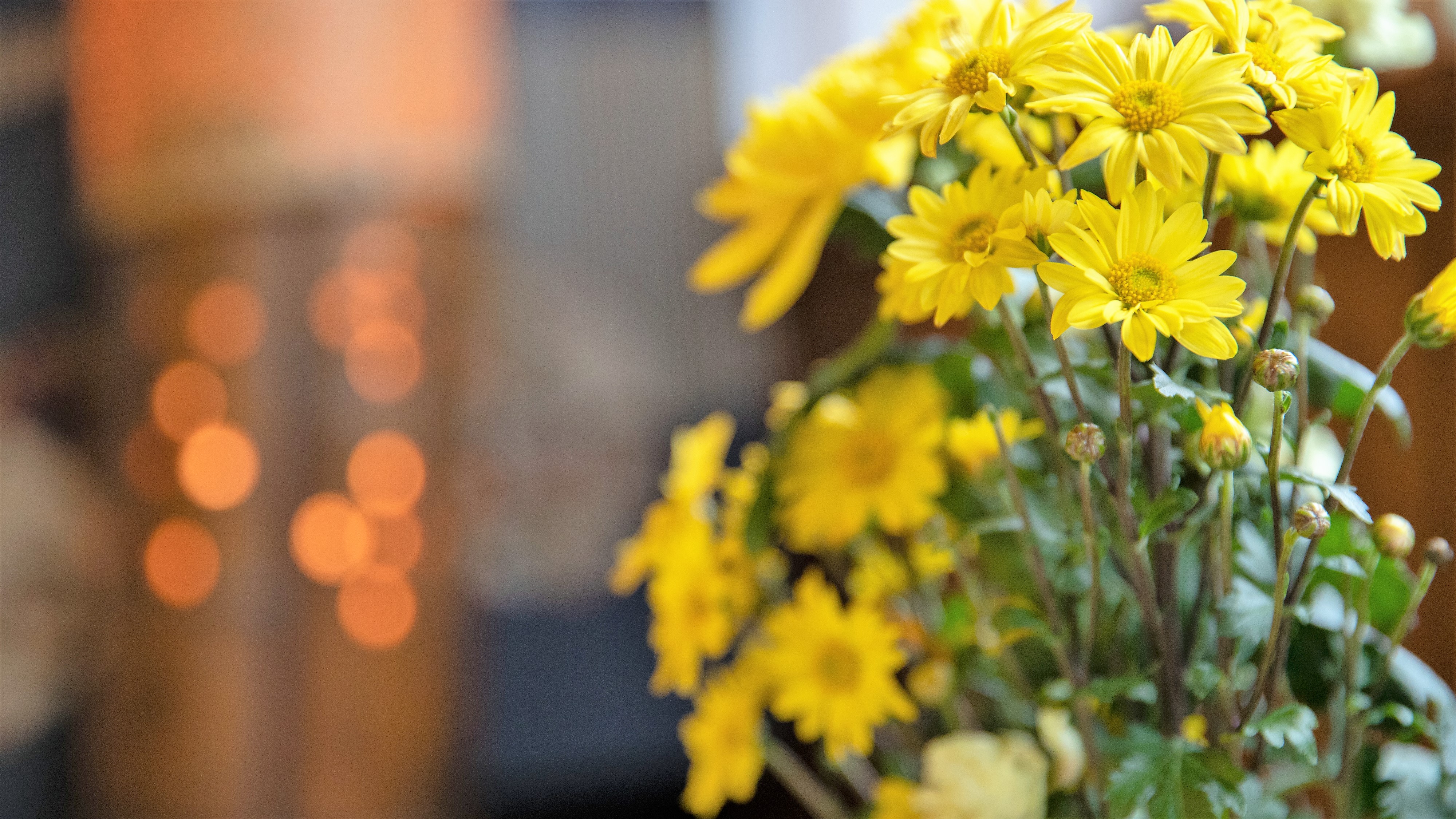 館内：季節のお花がお迎えいたします