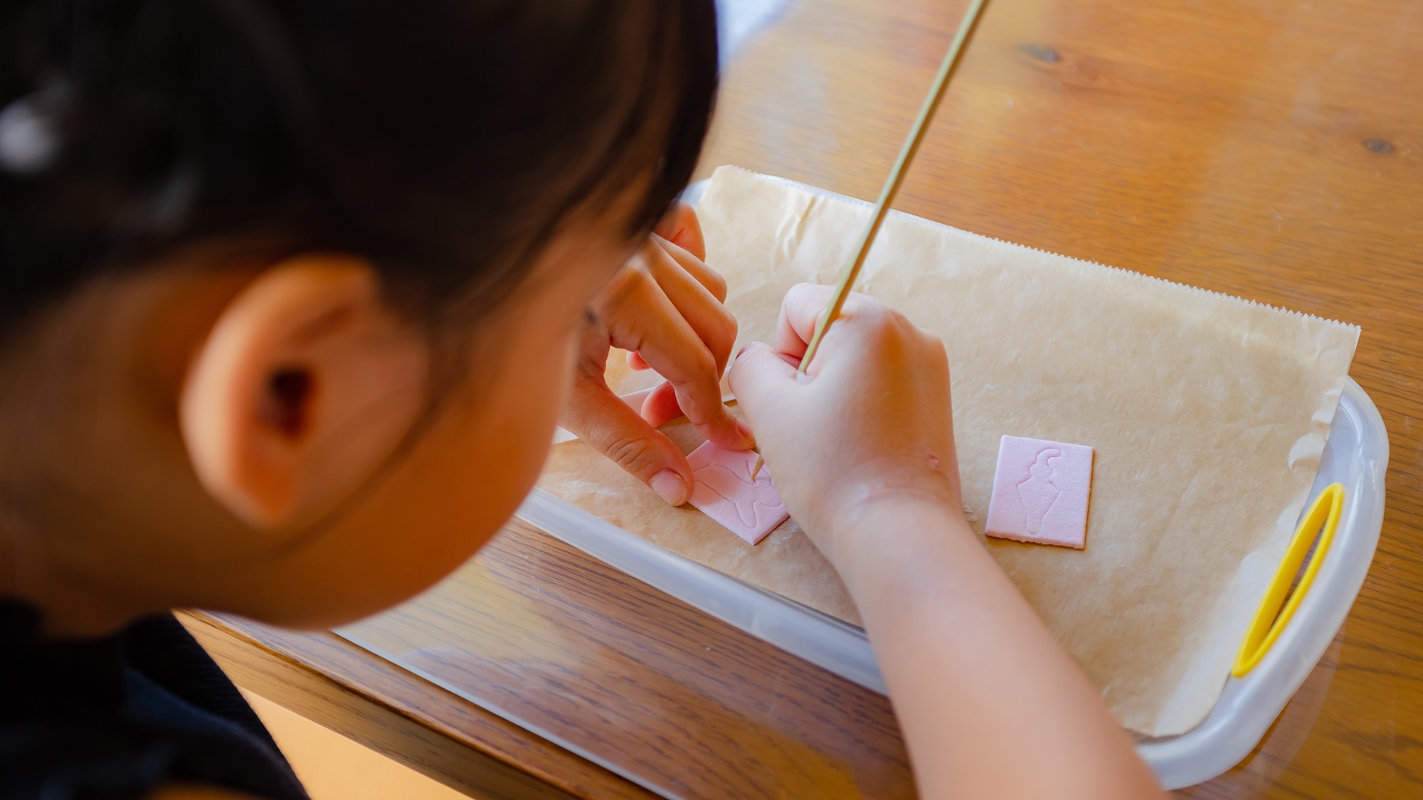 【早期予約特典】45日前までのご予約で、大人も子どもも楽しめる園内サービス券特典付(お食事なし)