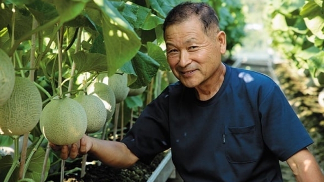 新登場！　千葉県生まれの最高級メロン（有機栽培）【アクアメロン1玉もぎ取りチケット付き】プラン