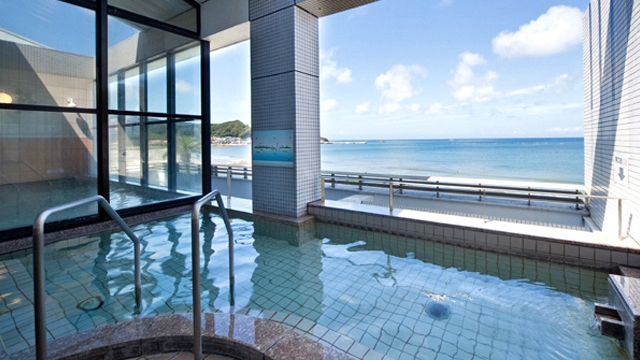 新登場！　千葉県生まれの最高級メロン（有機栽培）【アクアメロン1玉もぎ取りチケット付き】プラン