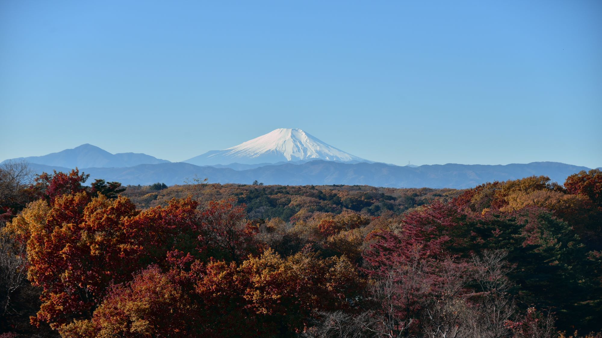 掬水亭からの景色