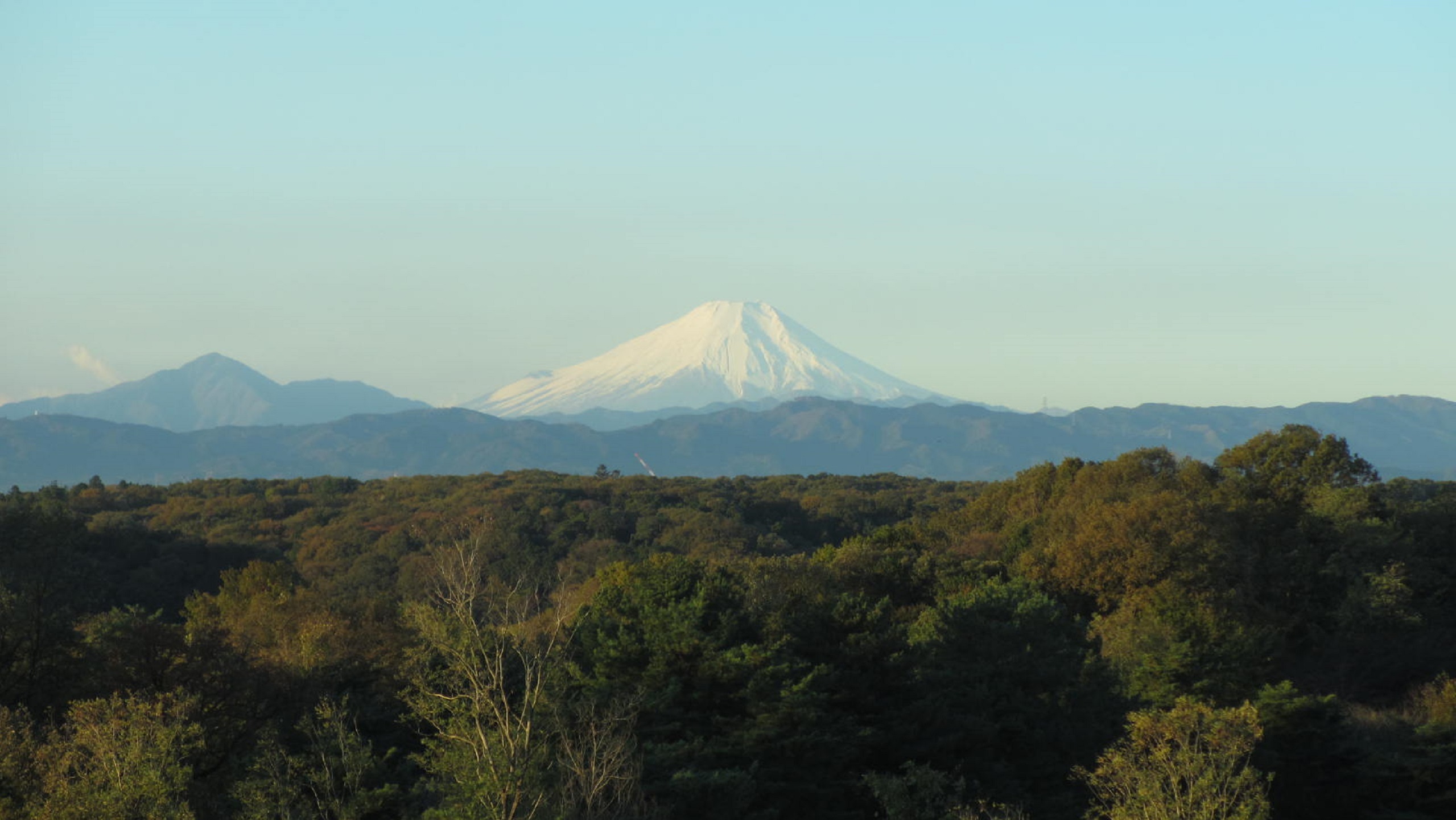 掬水亭からの景色