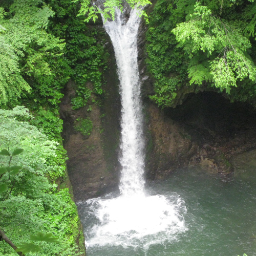 休暇村 奥大山 （旧 大山鏡ヶ成） - 写真 131