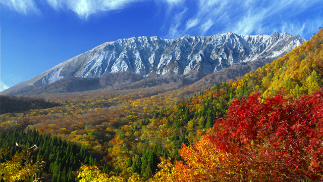 【秋・お子様連れにおススメ♪】奥大山ファミリー旅行プラン