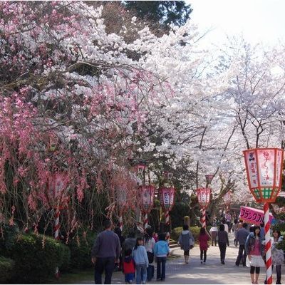 休暇村 奥大山 （旧 大山鏡ヶ成） - 写真 127