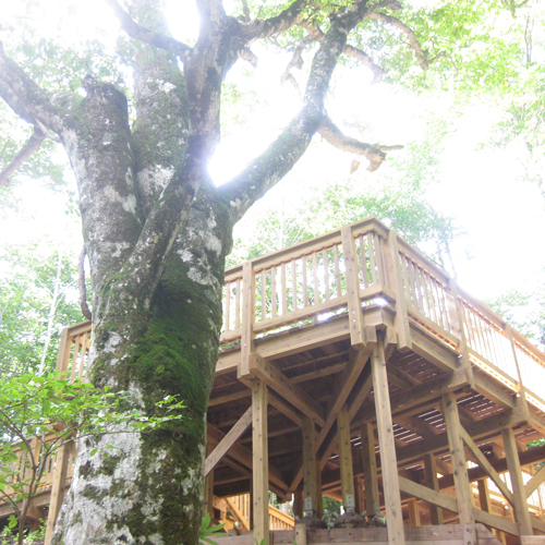 休暇村 奥大山 （旧 大山鏡ヶ成） - 写真 123