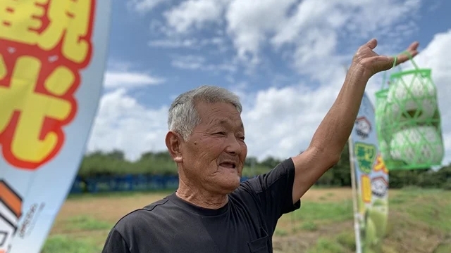 地元農園直送！鳥取県産梨のお土産付き宿泊プラン