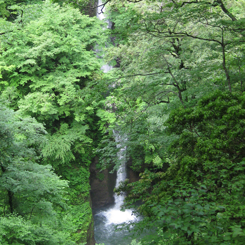 休暇村 奥大山 （旧 大山鏡ヶ成） - 写真 132
