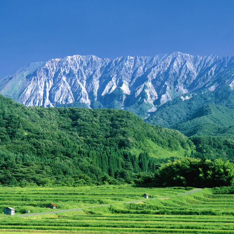 休暇村 奥大山 （旧 大山鏡ヶ成） - 写真 156