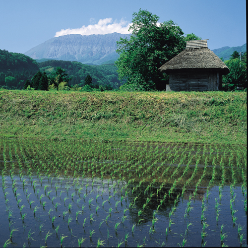 休暇村 奥大山 （旧 大山鏡ヶ成） - 写真 129
