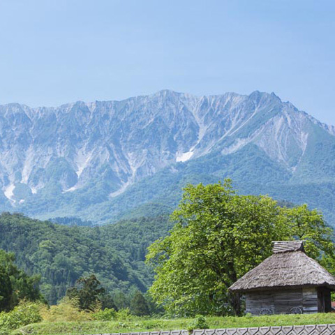 休暇村 奥大山 （旧 大山鏡ヶ成） - 写真 154