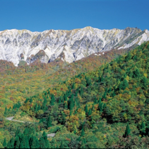 大山紅葉