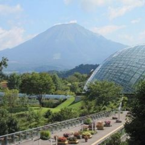 とっとり花回廊