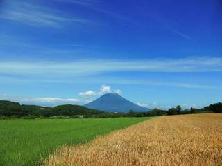 季節：夏の羊蹄山