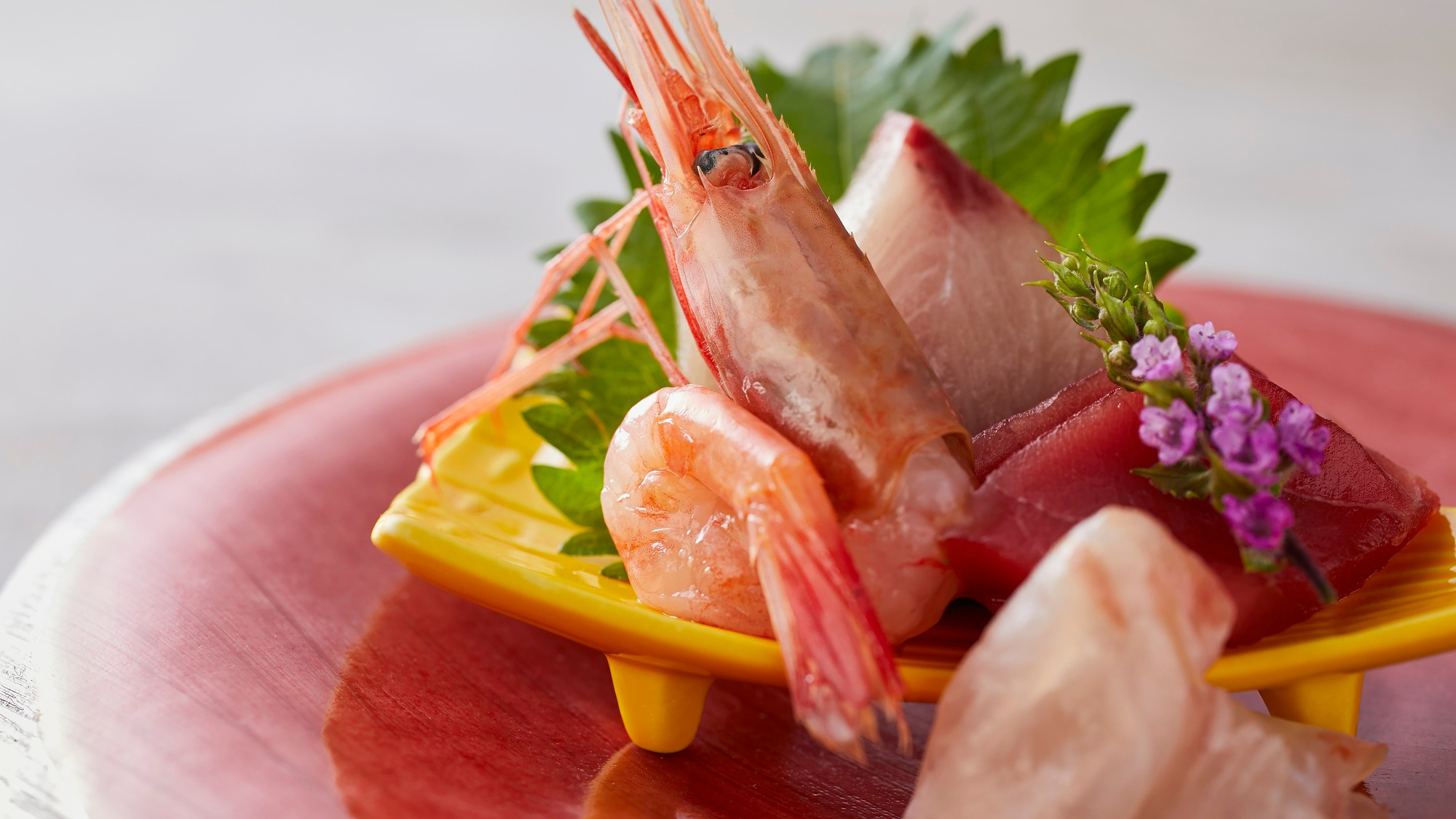 ＜早期割28＞【土地の恵み会席】福井の海と山の幸を堪能☆3/1〜朝食ビュフェに★かに★登場