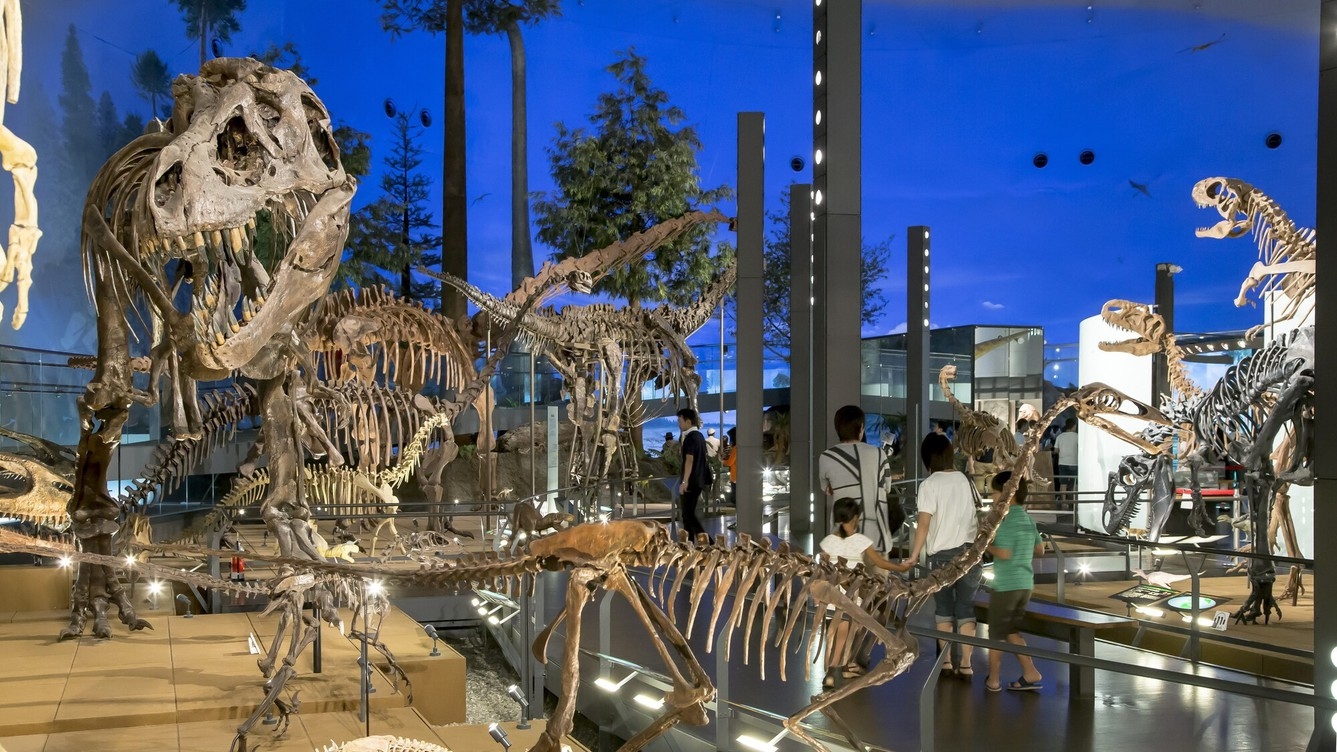 《福井県立恐竜博物館》迫力の恐竜化石の宝庫を楽しめる！常設展チケット引換券付プラン【土地の恵み会席】