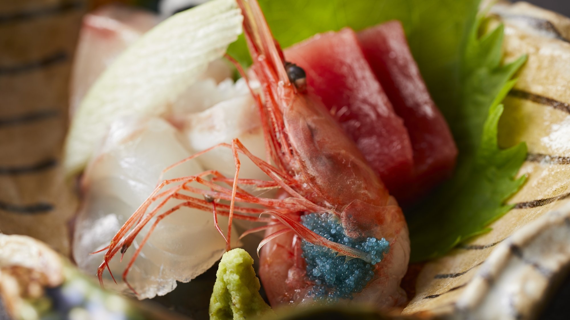 【かに食べ放題／土地の恵み会席】福井の海と山の幸を堪能する福コース