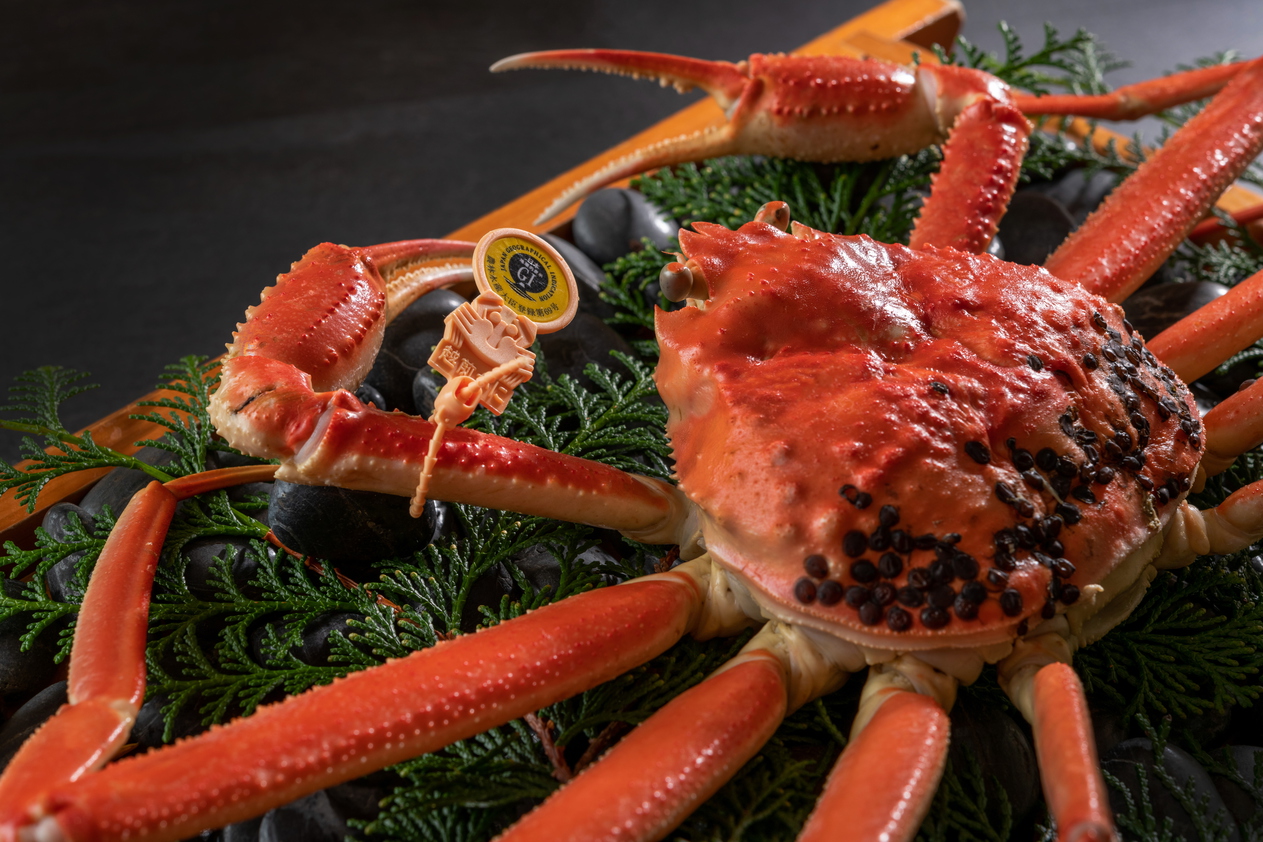 【期間限定】プレミアム【極み会席】冬の味覚の王様！「越前がに」ブランド蟹コース