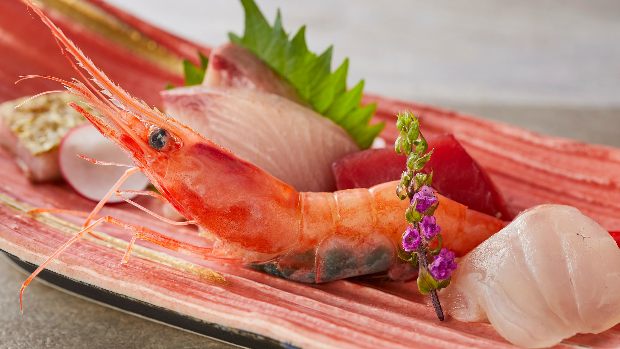 【特別会席/かがやき】春（2026年3月～5月）造り 地場の海鮮4種盛り、あしらい一式