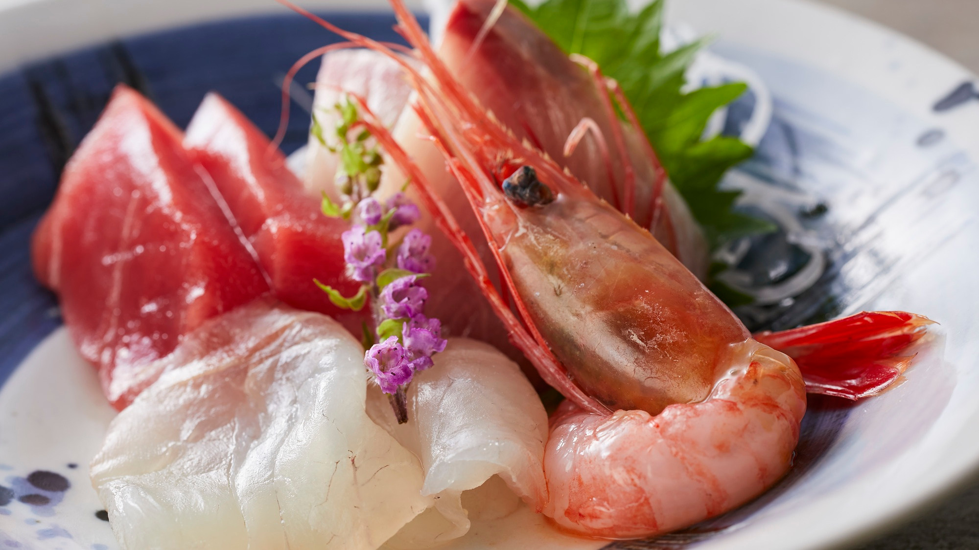 【季節の会席】春（2026年3月～5月）造り 地場の海鮮4種盛り、あしらい一式