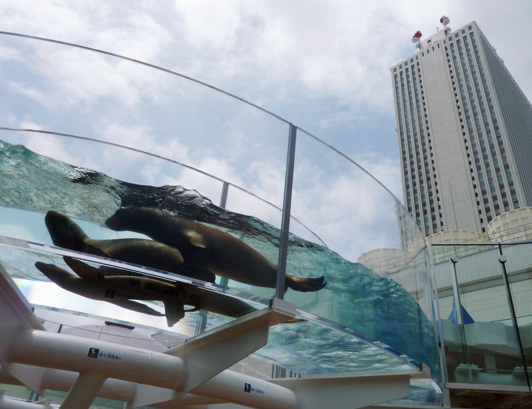 観光スポット：池袋サンシャイン水族館（池袋まで電車で15分）