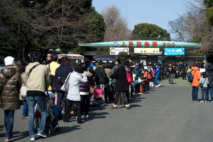 上野動物園（徒歩にて約15分）