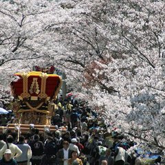 賀集八幡神社　春祭り