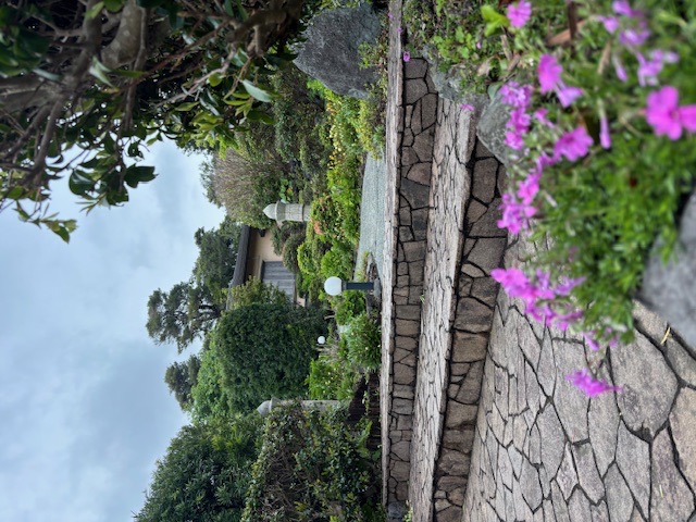 お庭
