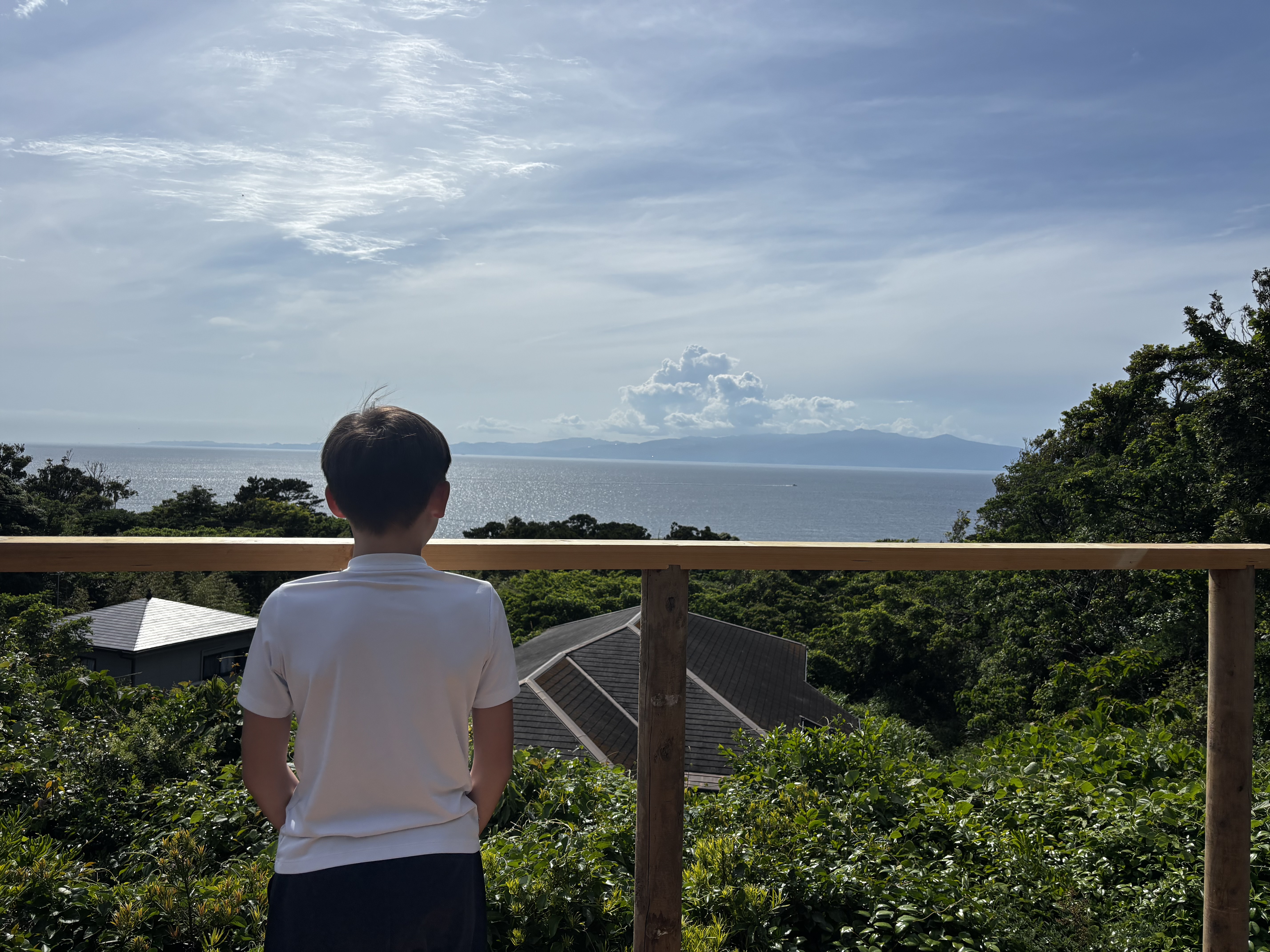 星見台からの景色
