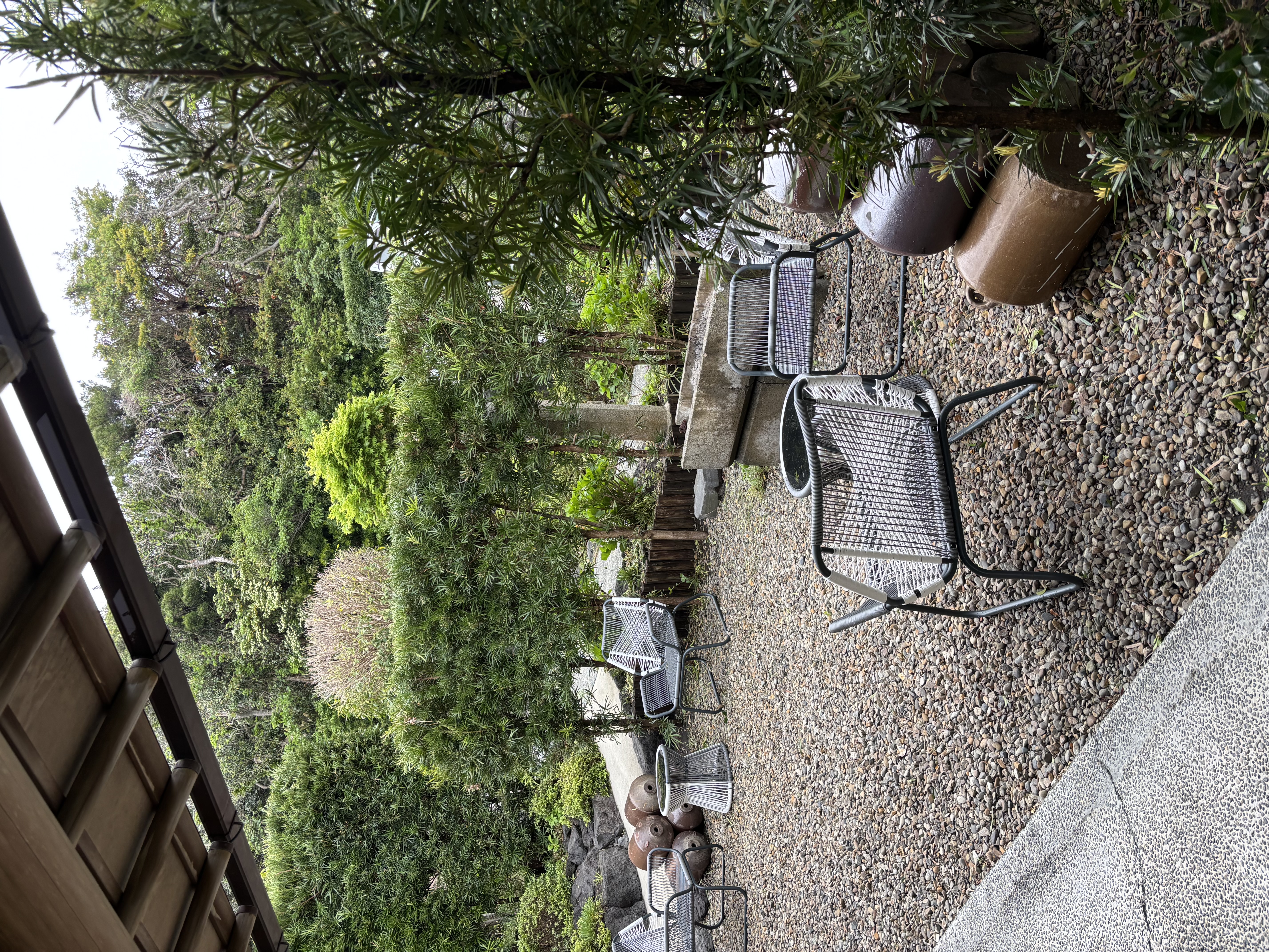 お部屋前のお庭