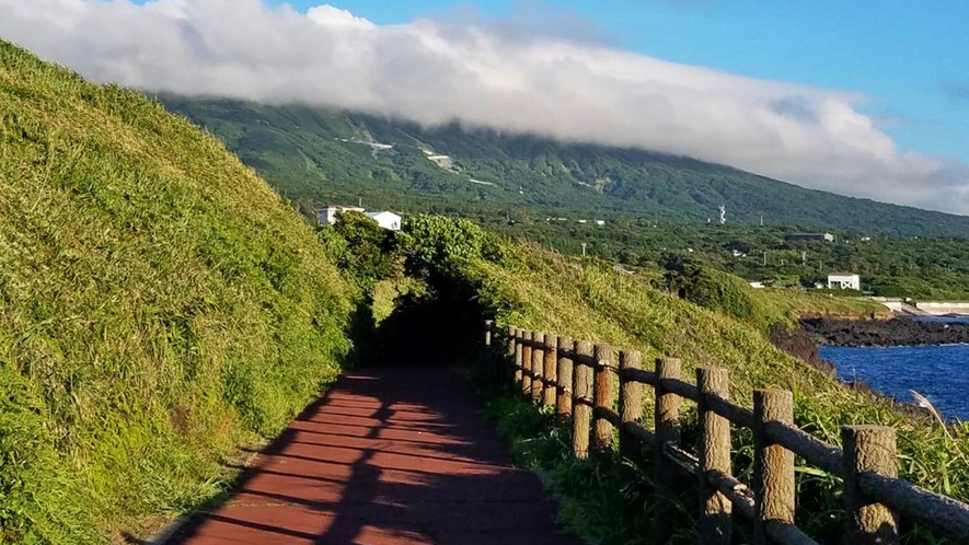 *赤禿／大島西海岸のサンセットパーム沿いにある夕日の絶景スポット。