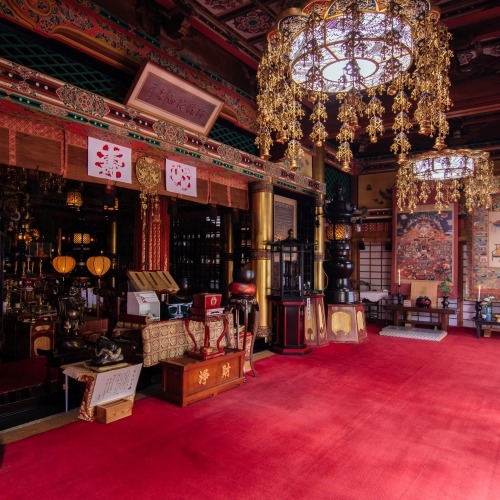 【5％OFF】【楽天スーパーSALE】スタンダードプランが期間限定でお得な料金に！