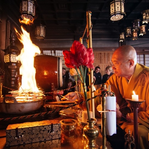 【5％OFF】【楽天スーパーSALE】スタンダードプランが期間限定でお得な料金に！