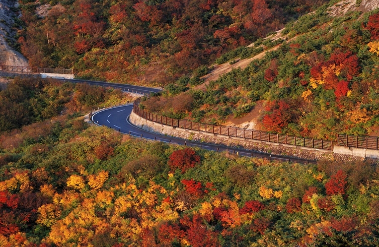 磐梯吾妻スカイライン絶景の紅葉