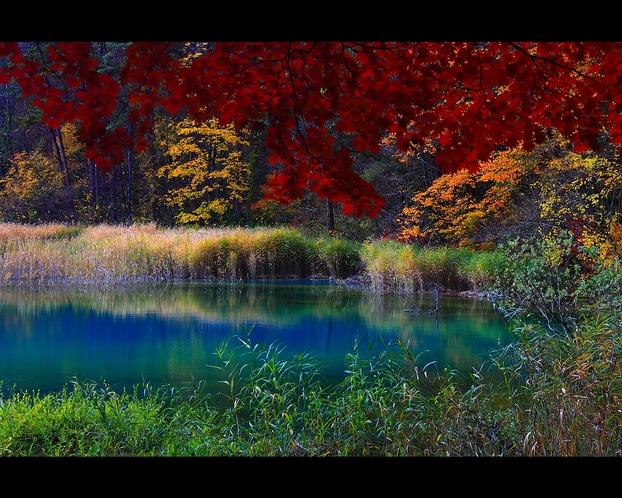 五色沼のひとつ紅葉のるり沼