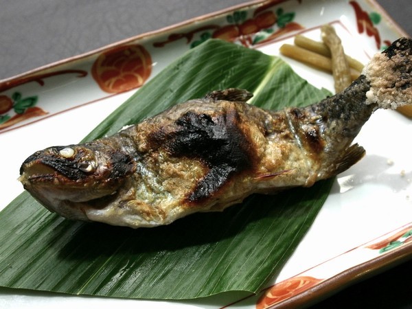 岩魚の塩焼きを召し上がれ